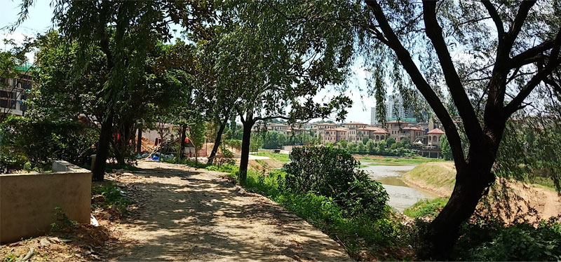 小區(qū)環(huán)境實拍