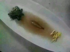 揭秘市場低價鋅鋼護欄是如何出爐的